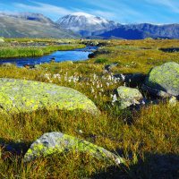 Jotunheimen Nationaal Park